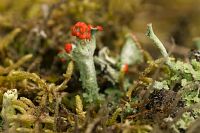thumbs/DSC_0894.jpg