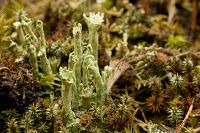 thumbs/DSC_0905.jpg