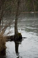 thumbs/DSC_0939.jpg