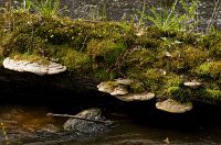 thumbs/DSC_1448.jpg