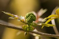 thumbs/DSC_1449.jpg