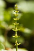 thumbs/DSC_1458.jpg