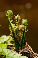 thumbs/DSC_1464.jpg