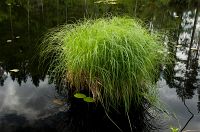 thumbs/DSC_3587.jpg