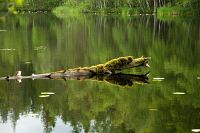 thumbs/DSC_3588.jpg