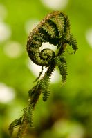 thumbs/DSC_9632.jpg
