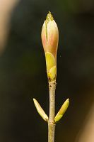 thumbs/DSC_9636.jpg