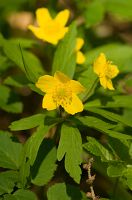 thumbs/DSC_9641.jpg