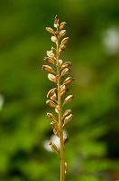 thumbs/DSC_9671.jpg