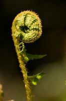 thumbs/DSC_9737.jpg