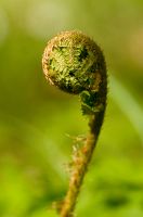 thumbs/DSC_9738.jpg