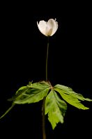thumbs/DSC_9747.jpg
