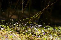 thumbs/DSC_9754.jpg