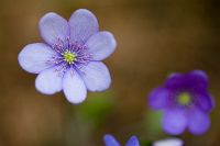thumbs/DSC_9759.jpg