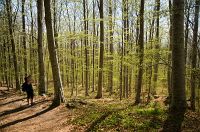 thumbs/DSC_9768.jpg