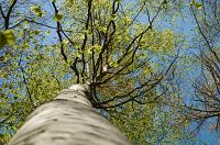 thumbs/DSC_9772.jpg