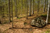 thumbs/DSC_9773.jpg