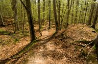 thumbs/DSC_9777.jpg