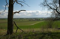 thumbs/DSC_9783.jpg