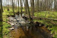 thumbs/DSC_9785.jpg