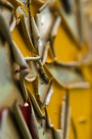 thumbs/DSC_0362.jpg