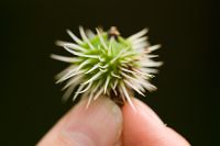 thumbs/DSC_0379.jpg