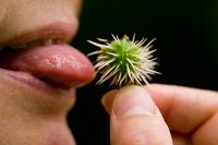 thumbs/DSC_0381.jpg