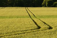 thumbs/DSC_0384.jpg