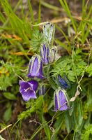 thumbs/DSC_0685.jpg