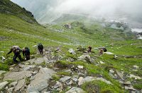 thumbs/DSC_0742.jpg
