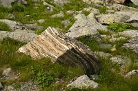 thumbs/DSC_0910.jpg