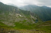 thumbs/DSC_0920.jpg