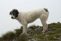 thumbs/DSC_1012.jpg