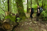 thumbs/DSC_1127.jpg