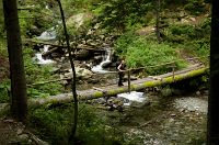 thumbs/DSC_1129.jpg