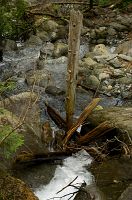 thumbs/DSC_1138.jpg