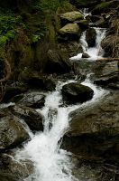 thumbs/DSC_1139.jpg