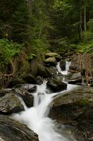 thumbs/DSC_1144.jpg