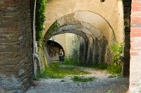 thumbs/DSC_1336.jpg