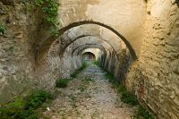 thumbs/DSC_1344.jpg