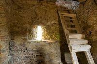 thumbs/DSC_1347.jpg