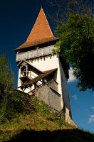 thumbs/DSC_1352.jpg