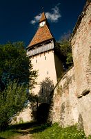 thumbs/DSC_1353.jpg
