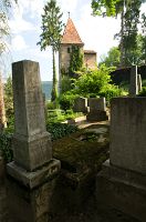 thumbs/DSC_1390.jpg