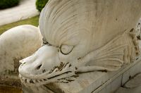 thumbs/DSC_1716.jpg