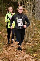 thumbs/DSC_7327.jpg