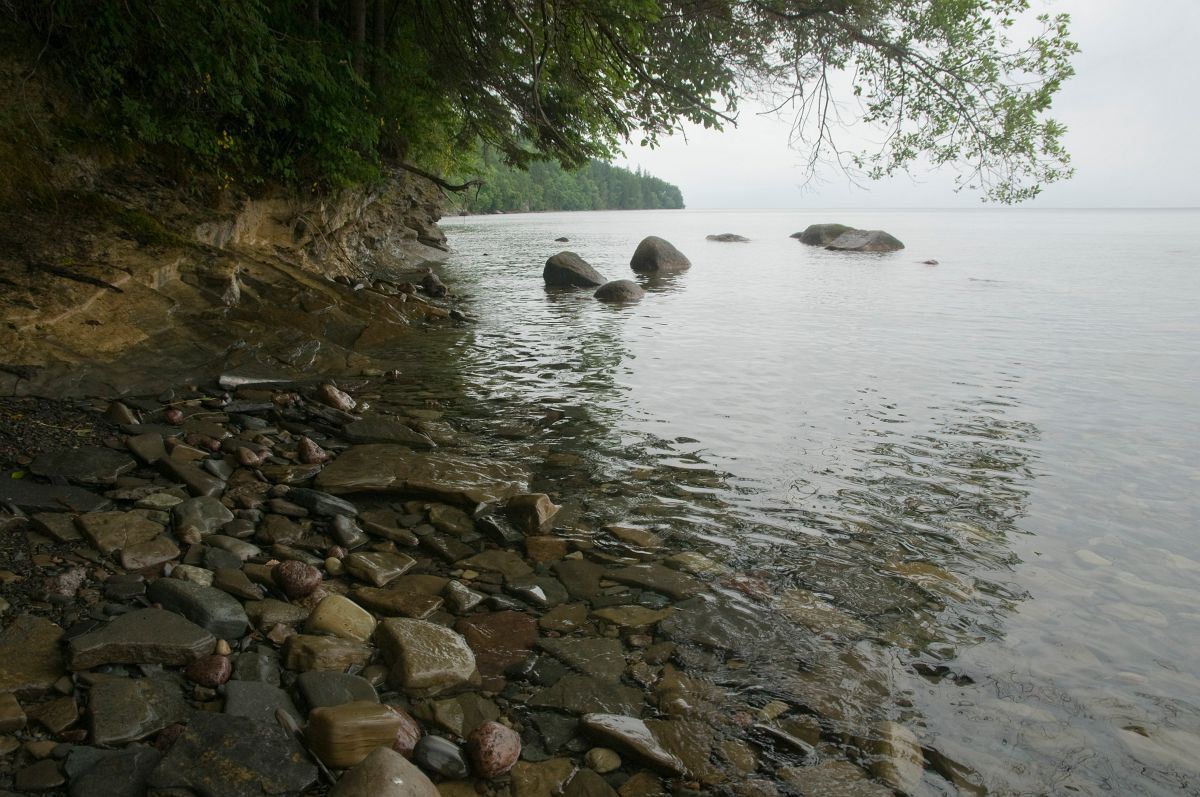 Original image