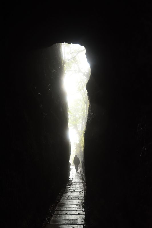 Original image