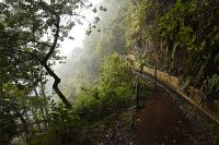 Madeira