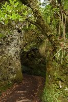 thumbs/DSC_2150.jpg